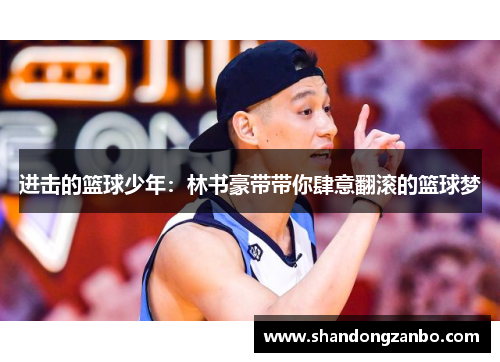 进击的篮球少年：林书豪带带你肆意翻滚的篮球梦